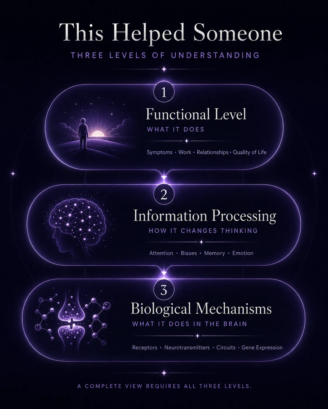 Three Levels of Understanding: stacked panels labeled Functional Level (what it does — Symptoms, Work, Relationships, Quality of Life), Information Processing (how it changes thinking — Attention, Biases, Memory, Emotion), and Biological Mechanisms (what it does in the brain — Receptors, Neurotransmitters, Circuits, Gene Expression). A subtitle below reads: A complete view requires all three levels.