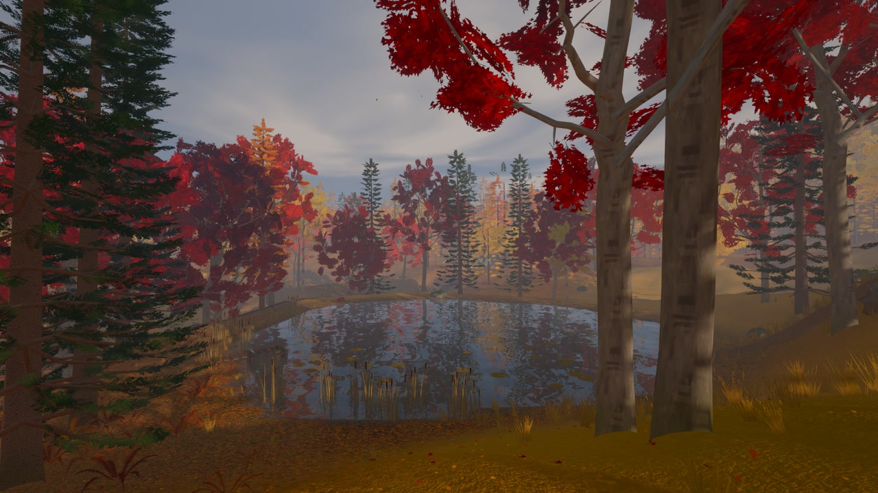 A still pond in an autumn wood, red maples and dark spruces round it and reflected in it, cattails along its near edge, two pale trunks close by on the right