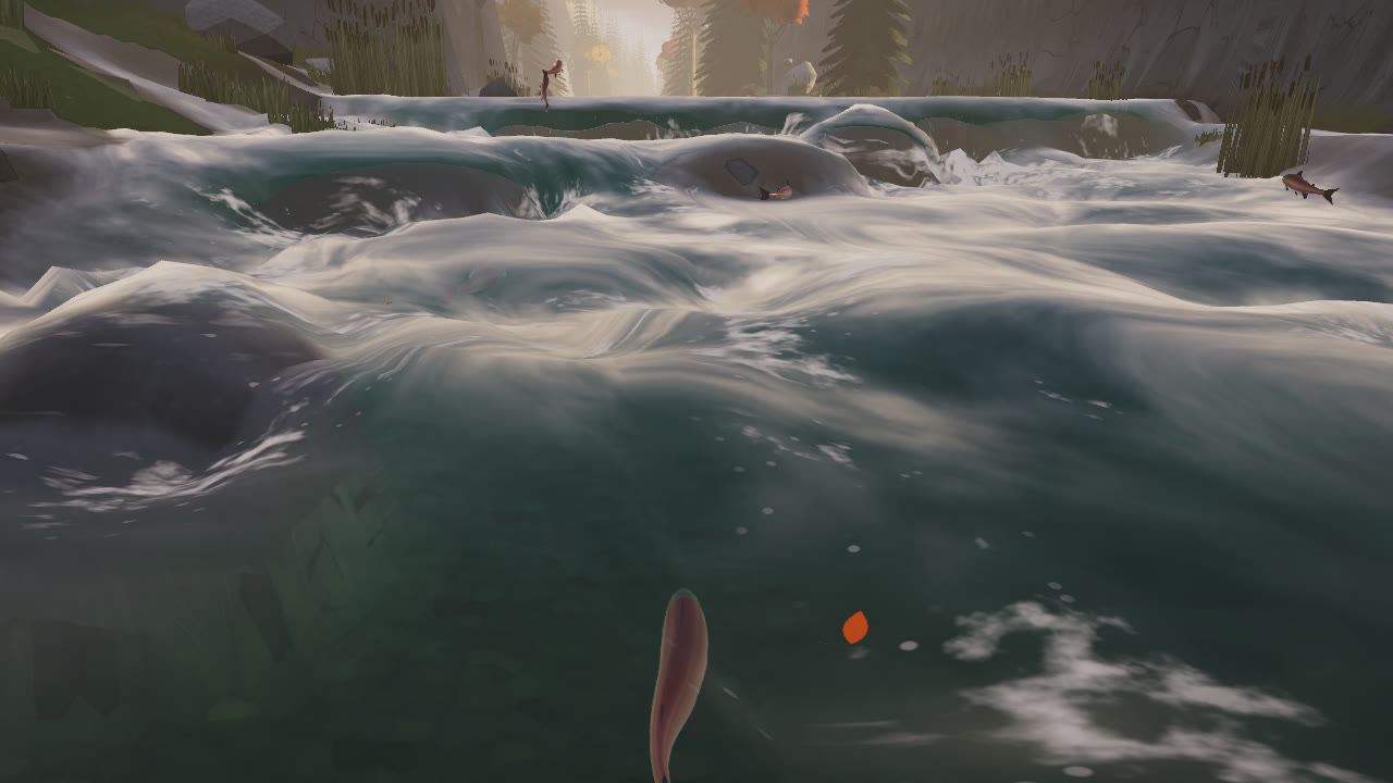 A red salmon swimming up into white water in a rocky gorge, standing waves over a stone ledge ahead and two more salmon leaping at it, low sun through the trees beyond